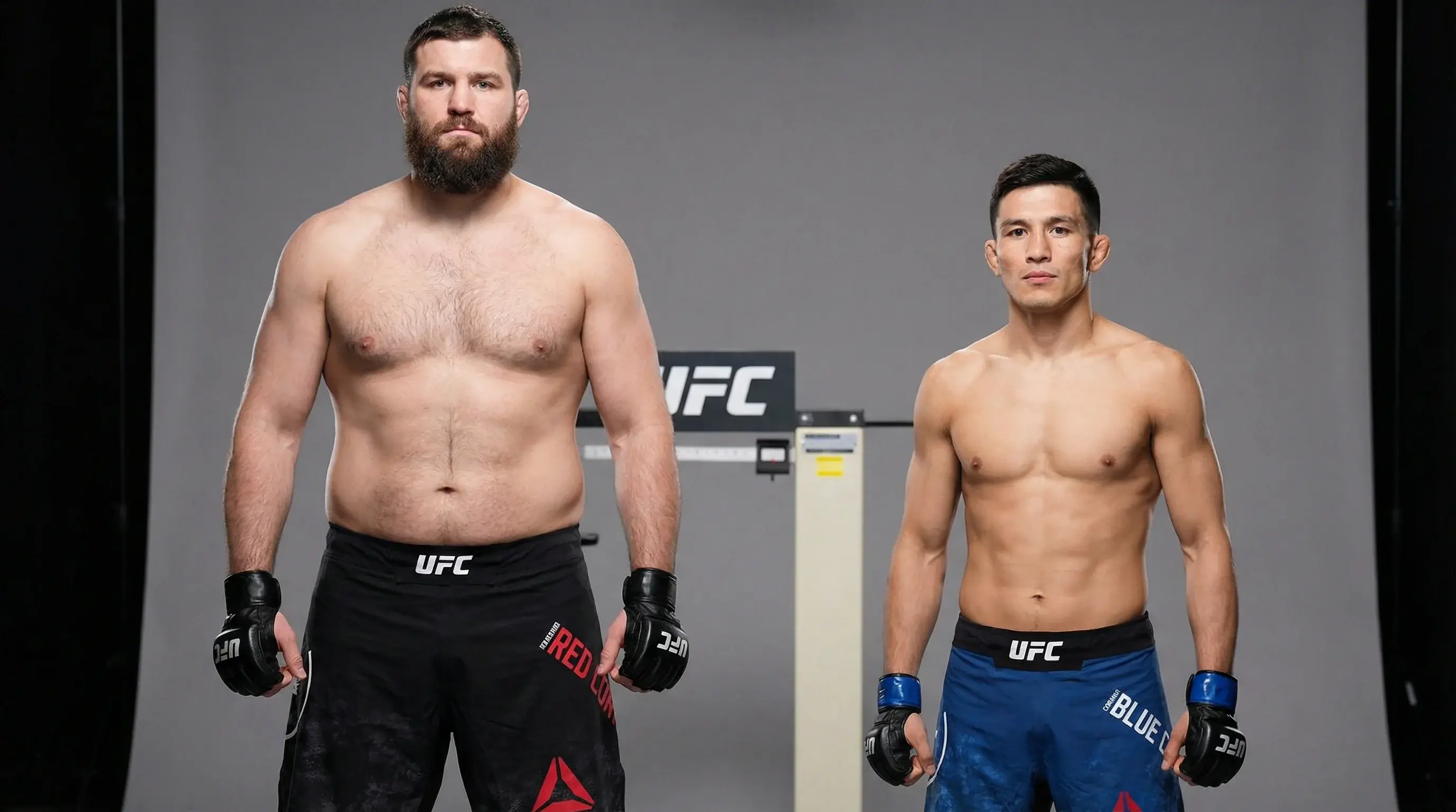 Zawodnicy UFC z różnych kategorii wagowych — od wagi słomkowej po ciężką — w trakcie walki